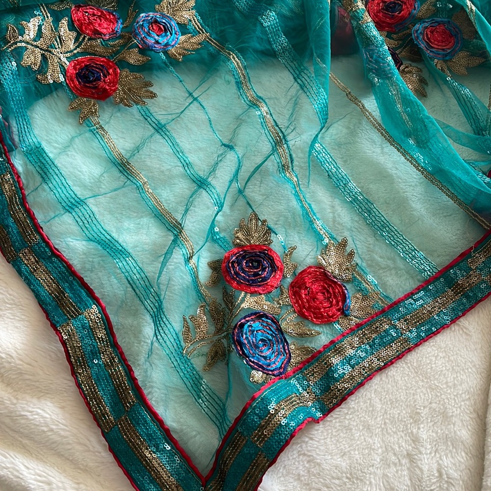 Teal net saree